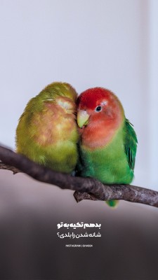 عاشقانه-تکیه گاه-پرنده